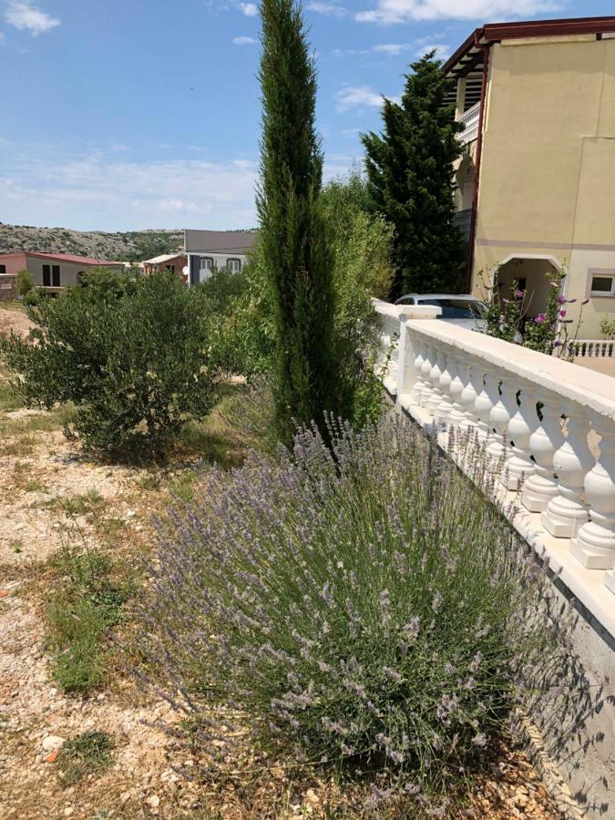 Apartmani Gabi Cesarica Exterior photo