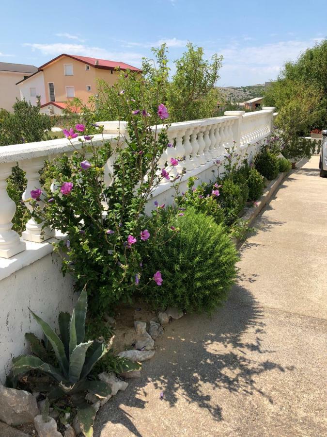 Apartmani Gabi Cesarica Exterior photo